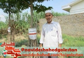 تقدیر مدیرکل بنیاد گلستان از غرس ۴ هزار درخت به نام شهدای گلستان