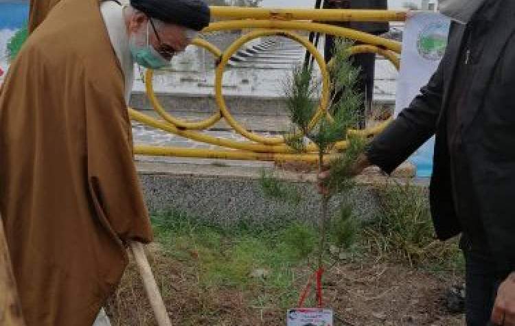کاشت درخت با نام و یاد شهدا در امامزاده ساورکلاته شهرستان علی آباد کتول