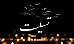 مدیرکل بنیاد شهید لرستان درگذشت مادر شهید «صفرعلی چراغی» را تسلیت گفت