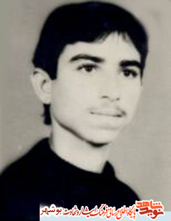 دست از بسیج و پاسداری از خون شهیدان نکشید