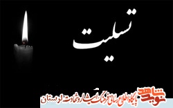مادر شهید «محمدرضا رضایی» در روز عید سعید فطر آسمانی شد