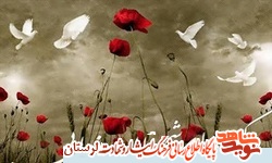 انتخاب میدان جهاد به خاطر تداوم انقلاب است