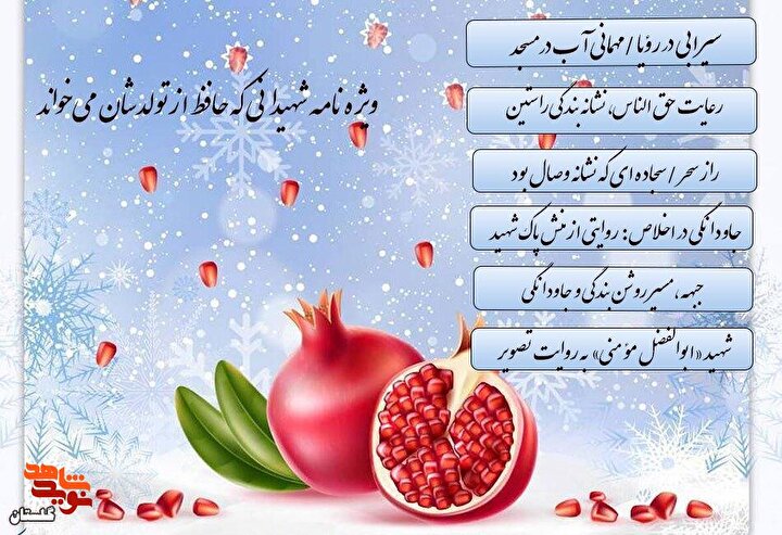 ویژه‌نامه الکترونیکی «شهیدانی که حافظ از تولدشان می‌خواند» منتشر شد